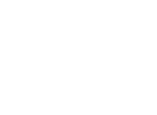 PRO DV Logo